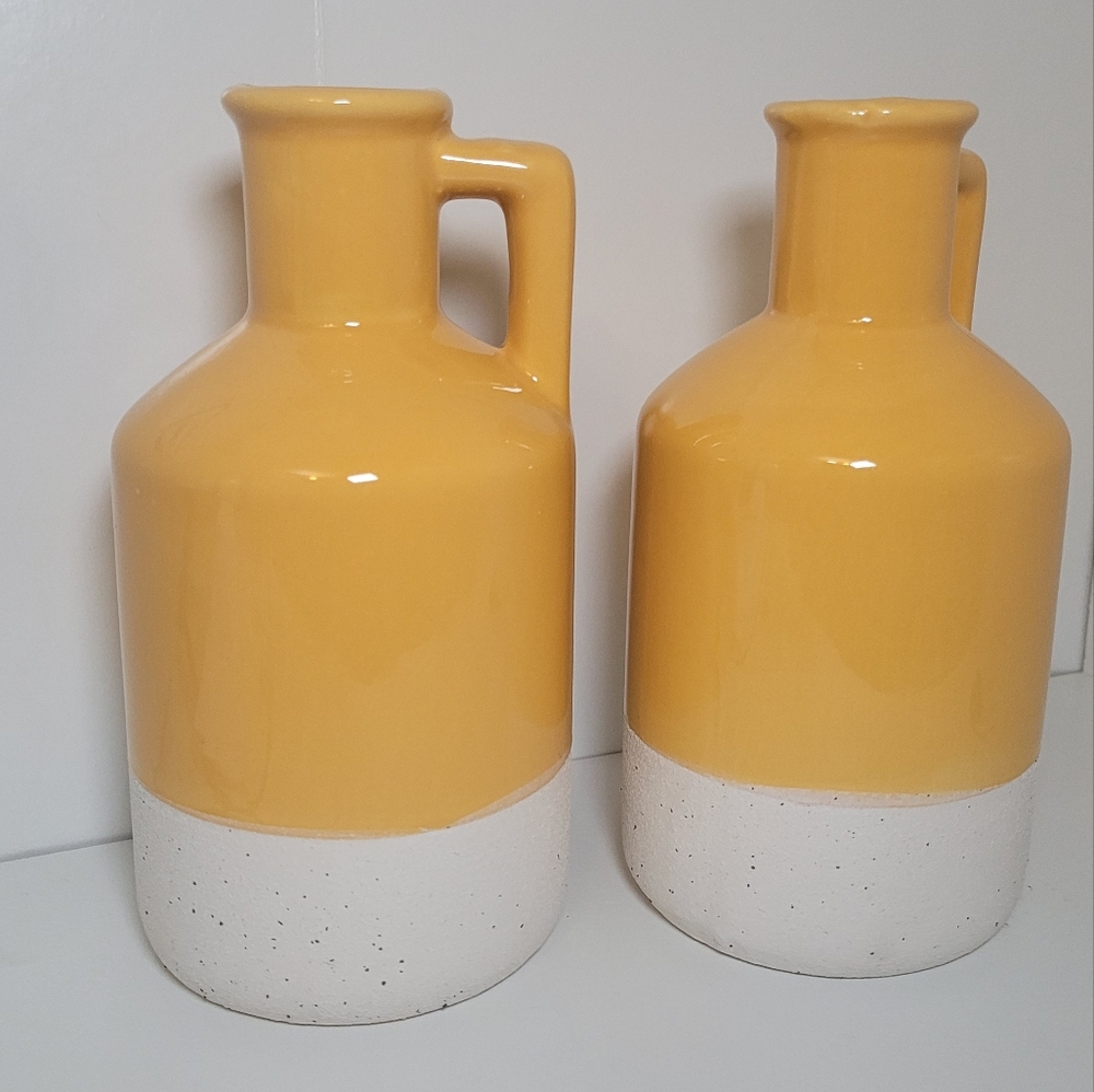 Ceramic Case